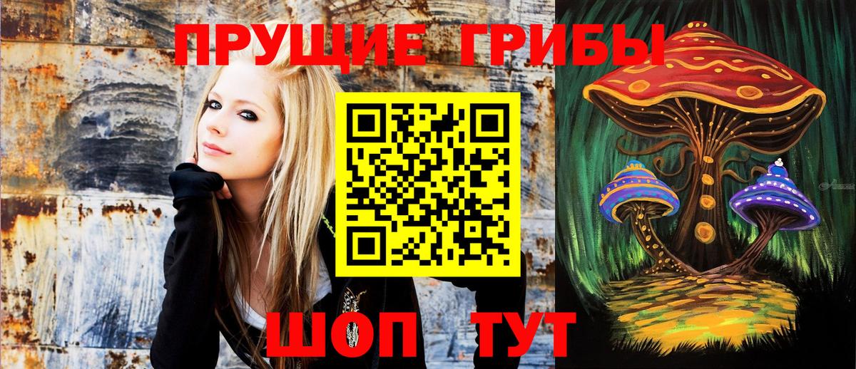 Георгиевск  Галлюциногенные грибы ЛСД  сколько стоит  Вход с VPN  Галлюциногенные грибы Psilocybe 
