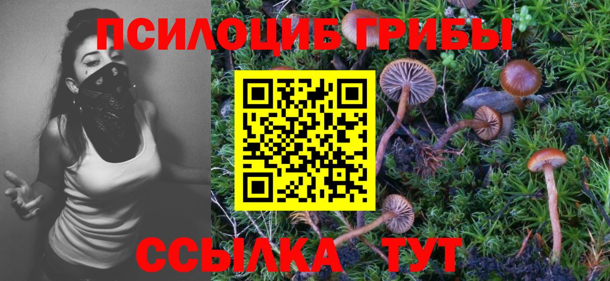 Псилоцибиновые грибы Magic Shrooms Георгиевск
